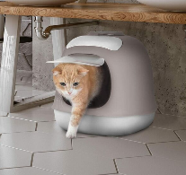 Kattenbak United Pets Groen 40 x 50 cm